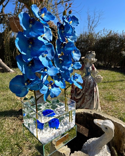 Mavi Orkide Askvarium